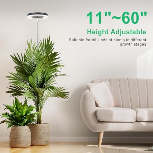 La mejor comparación de Sistemas iluminación automatizados negocio disponible en línea para comprar. 2 Imagen adicional