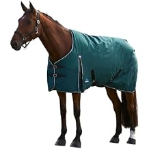 WeatherBeeta ComFiTec Classic Turnout 220 جرام، أخضر/أسود غامق، 63 بوصة