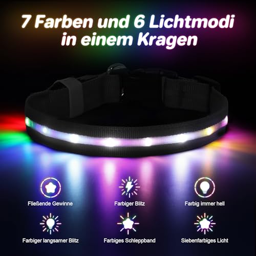 Feycig Leuchthalsband Hund Halsband Aufladbar - LED Hundehalsband Leuchtend USB Wasserdicht Einstellbare, 3 Modi, Leuchthalsband für Kleine Mittlere Große Hunde (Schwarz, M(38-50cm/15-19.7inch))