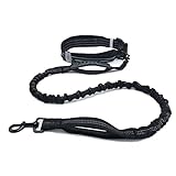 Gürteltasche mit Joggingleine für Hunde mit verstärkten Stichen und ruckdämpfendem Bungeeleine