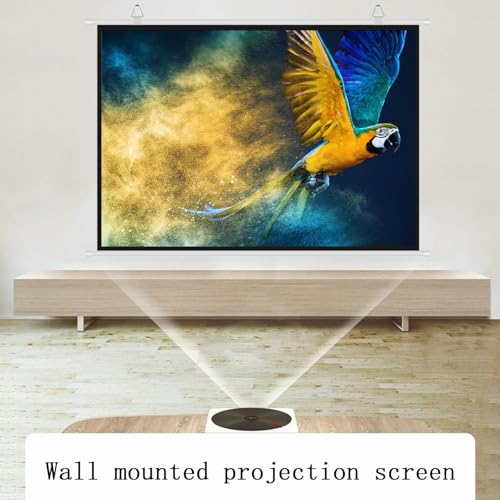 Pantalla de proyección manual 72" 4:3 y 16:9 miniatura 2