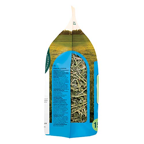 Oxbow Animal Health Alfalfa Hay, For Rabbits, Guinea Pigs, And Small Pets, Grown In The Usa, Hand-Selected And Hand-Sorted, 15 Ounce #TOP6