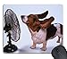 New Basset Hound Cooling Off PC Computer Mousepad Mouse Mat Pad