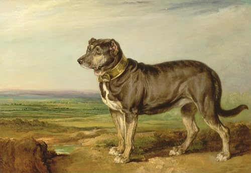 Lienzo Ritratto di vica Bloodhound póster de arte para decoración 60x90cm