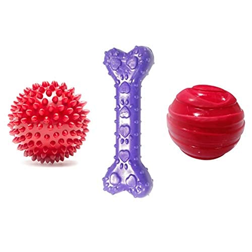 SR VISION Dog Rubber Chew Toy Combo (Red Ball + Hard Spike Ball + Scented Paw Print Bone) - Combo of 3 (B09RWXWJ6Q) Amazon Price History, Amazon Price Tracker