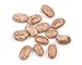 Pinto Beans, 25 Pound Box