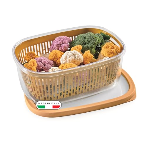 Snips Aroma Keeper Rettangolare 4 LT, Contenitore per cibi, Cestello rimovibile interno, Chiusura Salvafreschezza, Colore Senape, 28,5 x 20,5 x 11 cm, Made in Italy, 4 L