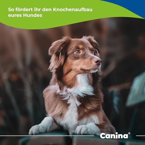 Canina Calcium Carbonat Pulver, 1er Pack (1 x 3.5 kg)