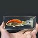 REALBUG Common Goldfish Paperweight (4.4x1.6x1.1)