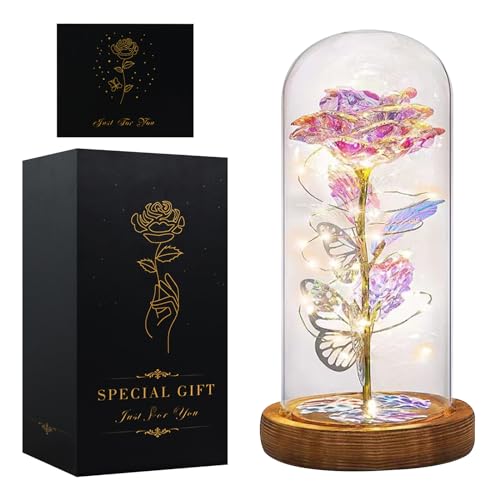 Seachrgif Cadeau Fete des Meres, Rose Eternelle sous Cloche, Cadeau pour Maman,Rose Belle et la Bete Cadeau pour Femme Épouse, mère, sœur, Belle-sœur, Meilleure Amie, Belle-mère et Amie