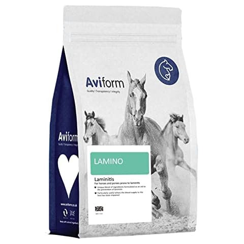 Lamino For Horses - Equine Laminitis Prevention Horse Supplement - Prevent And Support Horses And Ponies With Laminitis - 1kg Pouch Cover