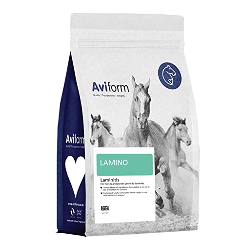 Lamino For Horses - Equine Laminitis Prevention Horse Supplement - Prevent And Support Horses And Ponies With Laminitis - 1kg Pouch