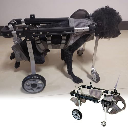 Chariot pour chiens handicapés à 4 roues et réglable pour rééducation canine