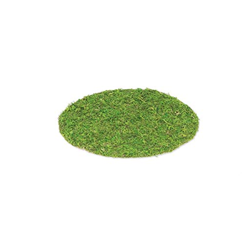 Set DE Table Mousse VÉGÉTALE Nature 35CM Vert