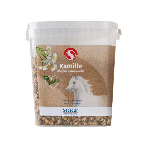 Camomille 600 g grande taille unique pour infusions naturelles