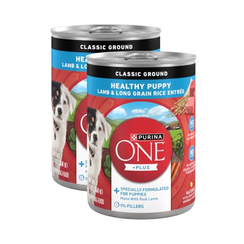 Purina ONE Plus Wet Puppy Food Classic Ground Healthy Puppy Lamb and Long Grain Rice Entree - 13 oz. Cans (Pack of 24) - image 1