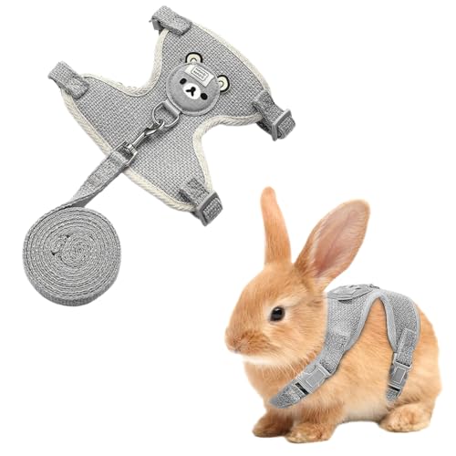 NJCXOLA laisse pour lapin accessoires, harnais pour...