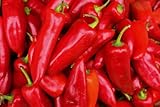 Fresno Chili Pepper Seeds Red Hot Organic, Heirloom Non GMO Seed for Planting Indoor Outdoor Garden Hydroponic Planter (300)