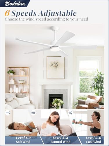 Image of Fanbulous 60 inch Ceiling Fan with Lights and Remote,Quiet White