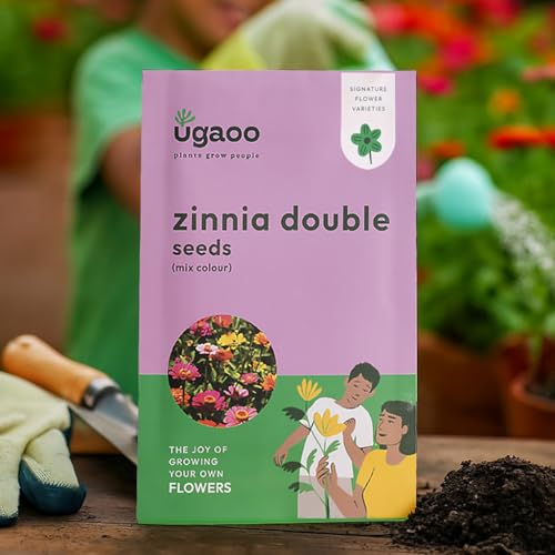 UGAOO Zinnia Double Flower Seeds (Multicolour, Pack of 200)