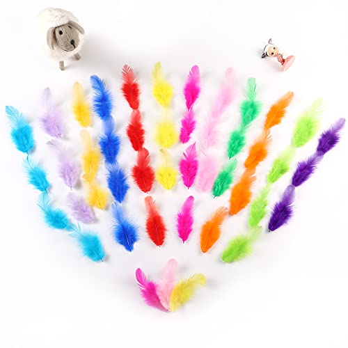 Soarer Colorful Craft Rooster Feathers - 300Pcs 3-5Inch Colored Feathers Bulk For Kindergarten Diy Crafts,Wedding Home Party Decorations,Dream Catcher Supplies(Rooster Colorful) #TOP4
