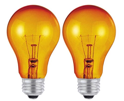 Dysmio Lighting 25W A19 E26 120V Party Bulb with Orange Finish E26 120V – 2 Pack