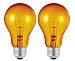 25 Watt, 120 Volt Orange Incandescent A19 Light Bulb (2 Pack)