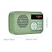 Docooler Portable FM Radio, Digital Radio with LCD Display, 3.5mm Headphone Jack, LED Light, Retro Bluetooth Speaker with Stereo, 2000mAh Battery, Support TF Card for Home/Outdoor/Kitchen - Green