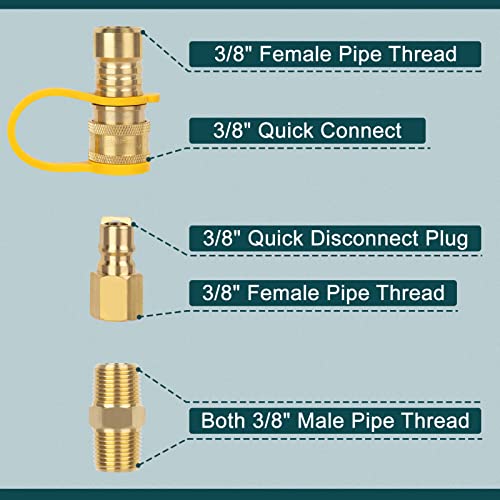 Gaspro 3/8 Inch Natural Gas Quick Connect Fittings, Natural And Propane Gas Hose Plug Set, 100% Solid Brass #TOP1
