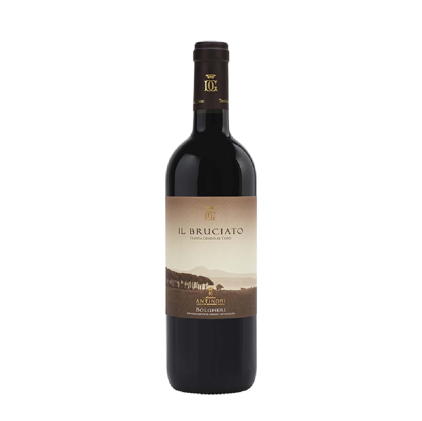 Il Bruciato Bolgheri 2024