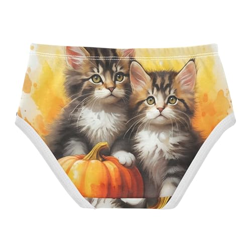 Cotton Girls Underwear Toddlers Tabby Kittens Cute Little Girl Panties Print Briefs Girls Undies 2t2