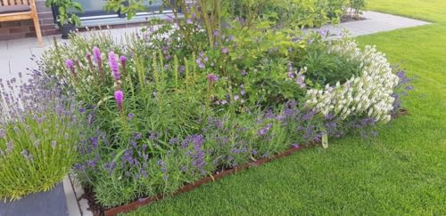 Rasenkanten Cortenstahl Edelrost 118 cm x 17,5 cm x 1 mm - 5er Set