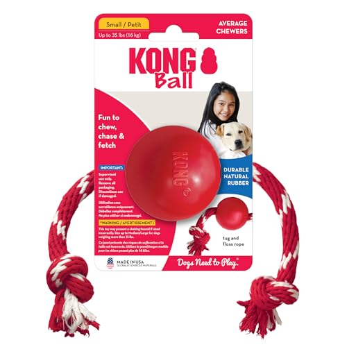 KONG Ball mit Seil - Hundespielzeug mit Seil für einfaches Werfen - Aus strapazierfähigem Naturkautschuk - Für Kleine Hunde - Rot