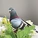 Simulation Foam Pigeon Model, Artificial Imitation Animal Fake Pigeon Simulated Foam Birds for Craft Home Ornaments Garden Wedding Decoration(Random)