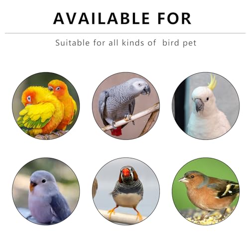 Baño para pájaros y comedero de agua adaptable a jaula de loros y agapornis 5
