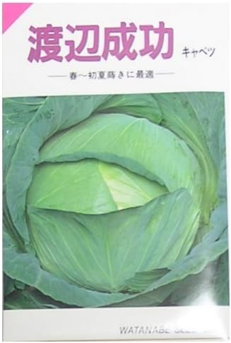 Amazon 渡辺成功キャベツ 在来種固定種野菜のタネ 野菜