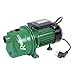 Ribiland 03216 - Pompe à Eau de Surface Auto - Amorçante - 600 Watts - Débit Maxi 2400l/h - Vert