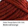 Lion Brand Yarn Hometown Yarn, Super-Bulky Yarn for Knitting, Crocheting, and Crafting, 1 Pack, Tampa Spice #1