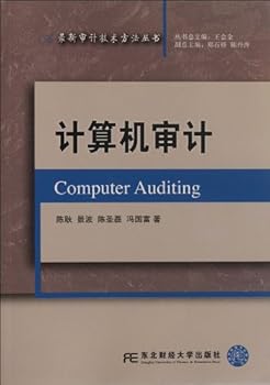 Paperback Computer Audit (Chinese Edition) [Chinese] Book