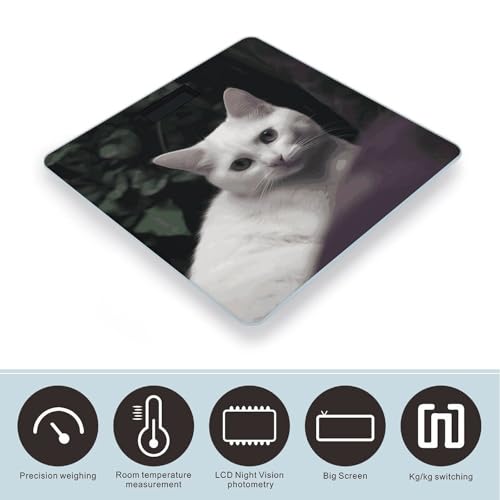 Báscula digital para baño con vidrio templado y pantalla LCD miniatura 3