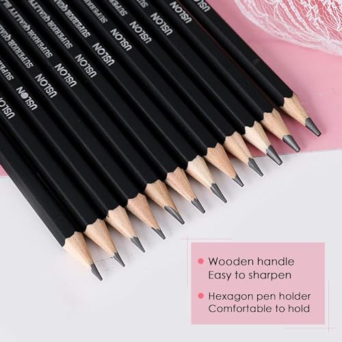 Wonwood_direct Bleistift Set, 12-Teiliges Zeichenstifte, Bleistifte Zeichnen von 2H bis 8B Zeichenset mit Graphitstifte für Künstler, Kinder, Erwachsene, Zeichnungen, Skizzieren Liebhaberin (Typ 2)