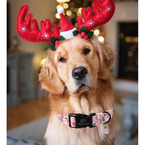 Image of Xmas Dog Collars - Pink Christmas Tree & Santa Dog Collar with Gingerbread- Comfortable, Stylish Pet Collars with Quick Release Buckle for Christmas M