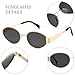D Lolylad Retro Oval Sunglasses for Women Men Trendy Sun Glasses Classic Shades UV400 Protection