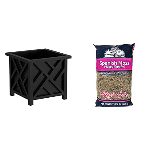Pure Garden Lattice Design Planter Box â 14.75-Inch-Square Decorative Outdoor Flower or Plant Pot â Front Porch, Patio, and Garden Decor (Black) & Mosser Lee ML0560 Spanish Moss, 250 Cubic Inches