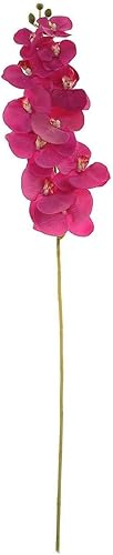 Miniatura 7 de Efavormart - 2 tallos de orquídea de seda fucsia de 40 pulgadas de alto, tallos de flores artificiales de tacto real para decoración de boda