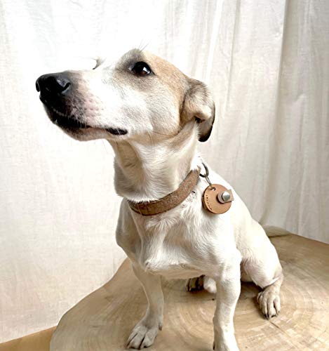 Monti Halsbandtasche aus Leder für Hunde - Hundemarke, Steuermarke, Tassomarke mit Schlüsselring | Handmade by Manufactica®