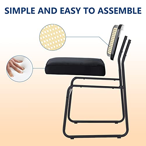 Bioopts Mid Century Modern Dining Chairs Set Of 2, Accent Rattan Kitchen Room Chairs, Velvet Armless Chair With Metal Chrome Legs, Mesh Back Cane Chairs Upholstered Side Chair For Home #TOP5