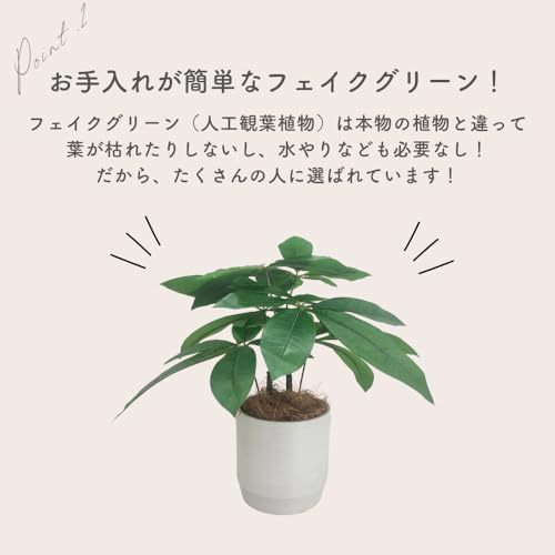 Rilmy（リルミー） フェイクグリーン 卓上 観葉植物 パキラ 造花 人工観葉植物 インテリア オシャレ インテリアグリーン ミニ フェイク 高さ33㎝ 鉢カバー付き ココファイバー付 3点セット (パキラ) [5]