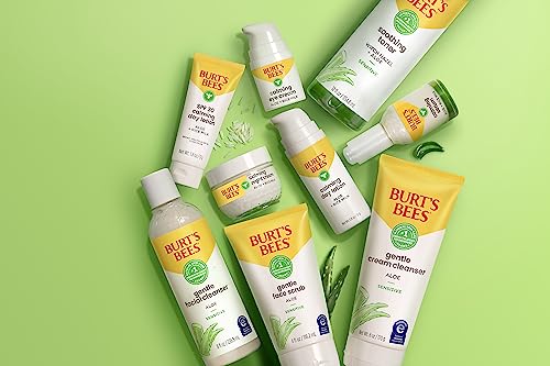 Burt's Bees Sensitive Solutions Gentle Face Scrub With Aloe, 98.9% Natural Origin, 4 Fluid Ounces #TOP7