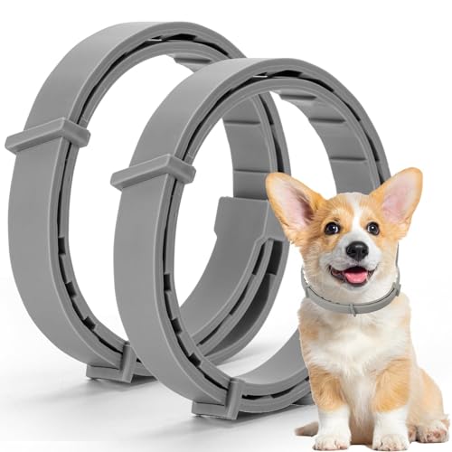 KAZIPA 2 Pack Collar for Dogs, Waterproof & Adjustable Prevention Dog Collars, Prevention for 16 Months,Protection Collar for Small, Medium and Large Dogs